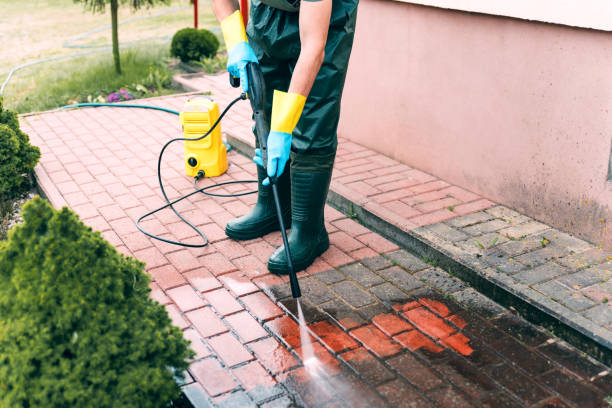 Best Pressure Washing Near Me  in Barrington, IL